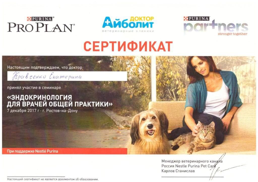 Достижения 1