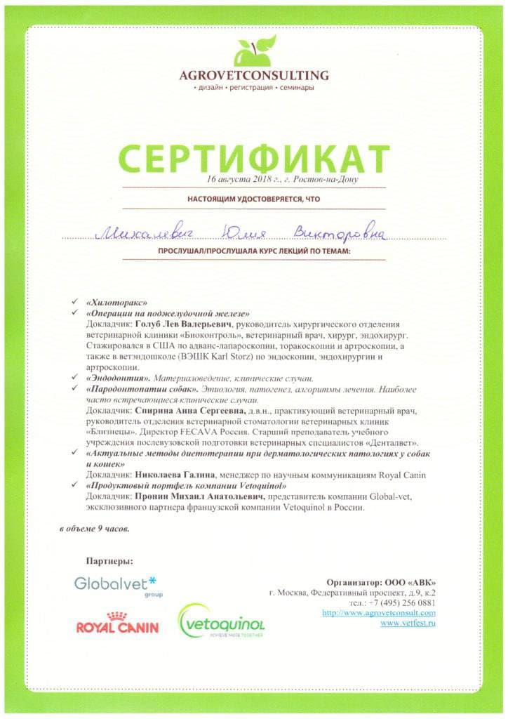 Достижения 10