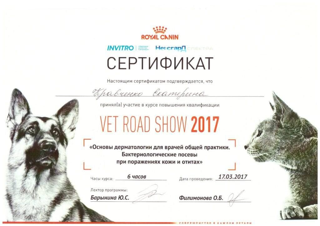 Достижения 2