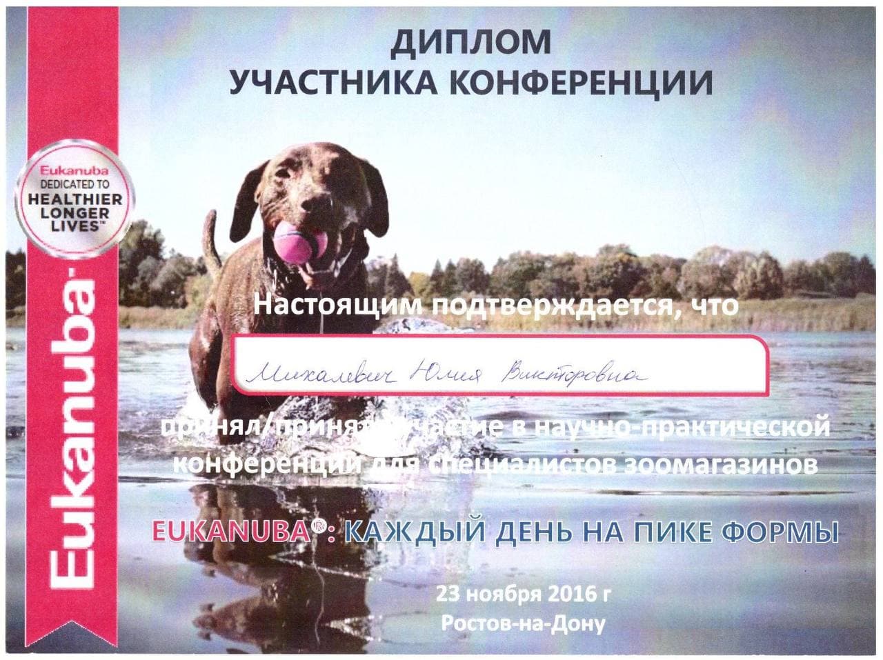 Достижения 3