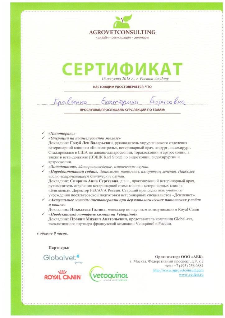 Достижения 4