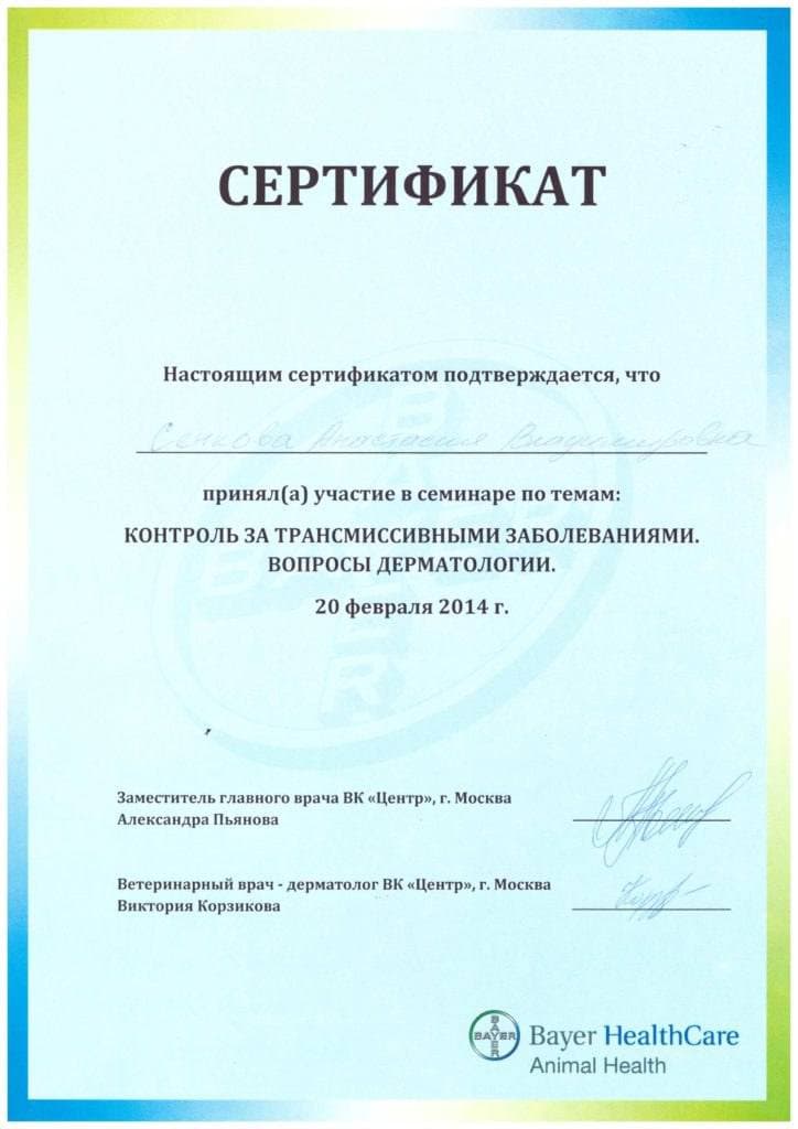 Достижения 5