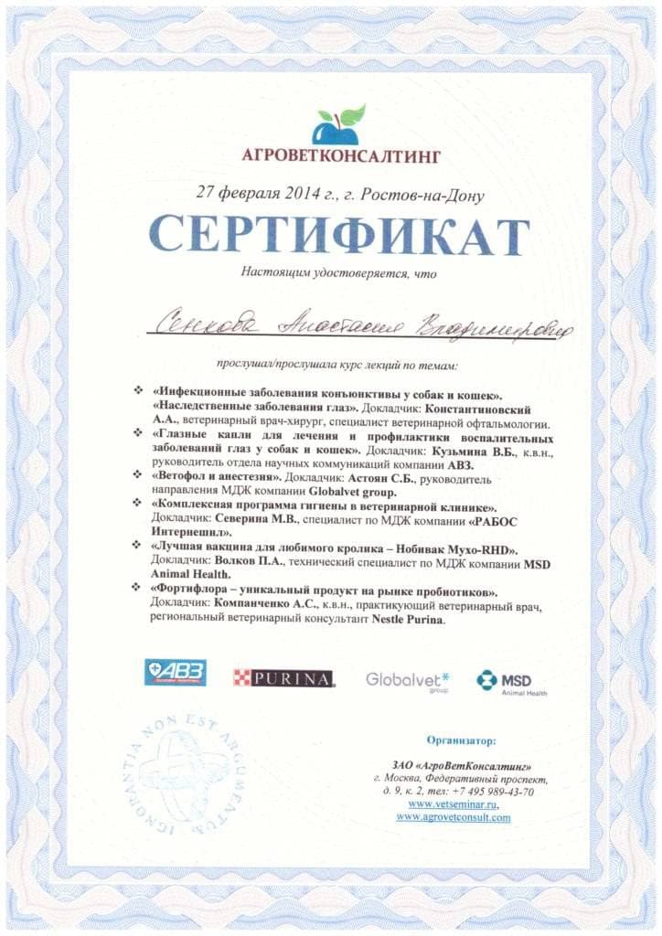 Достижения 6