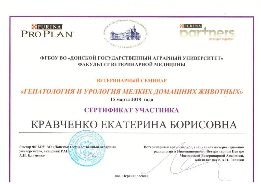 Достижения 8